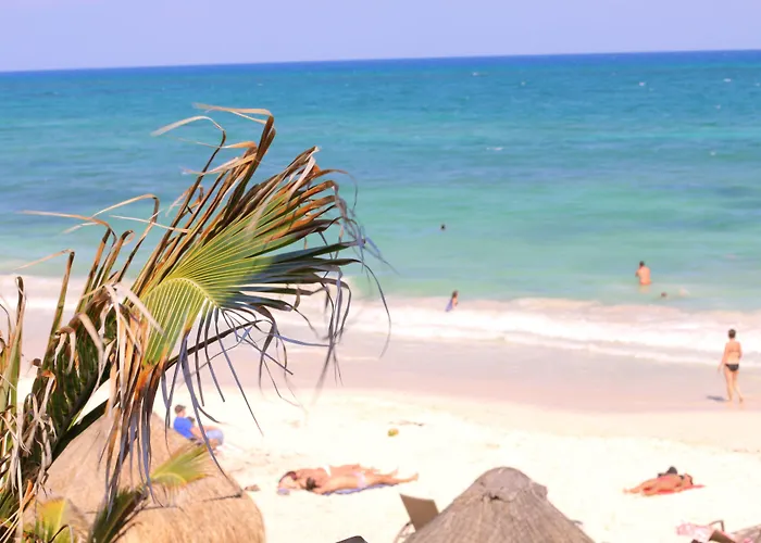 Punta Piedra
