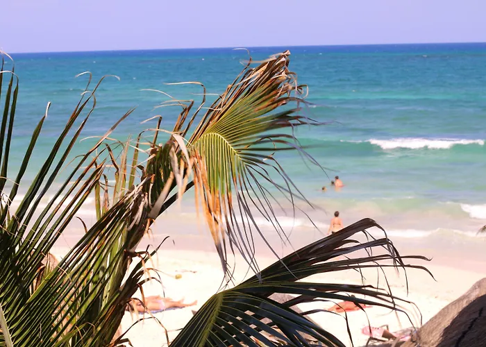Punta Piedra 3*